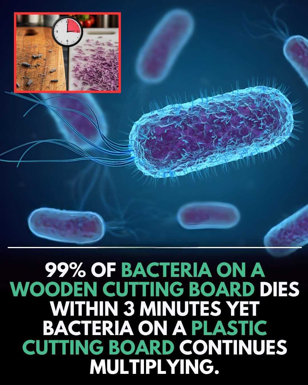 Wood vs Plastic Cutting Boards: The Surprising Science Behind Why Wood Can Be Safer